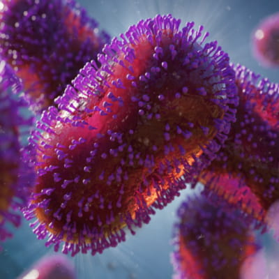 3D rendering of the monkeypox virus